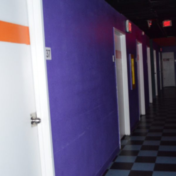 Entourage Vegas Where The Hot Guys Go